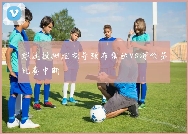 球迷投掷烟花导致布雷达vs海伦芬比赛中断