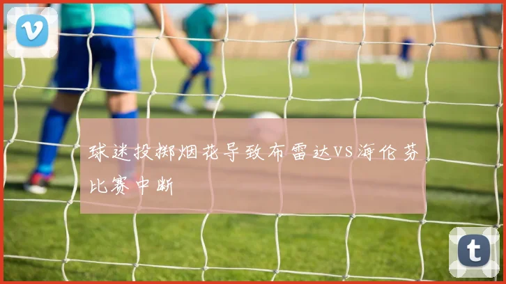 球迷投掷烟花导致布雷达vs海伦芬比赛中断